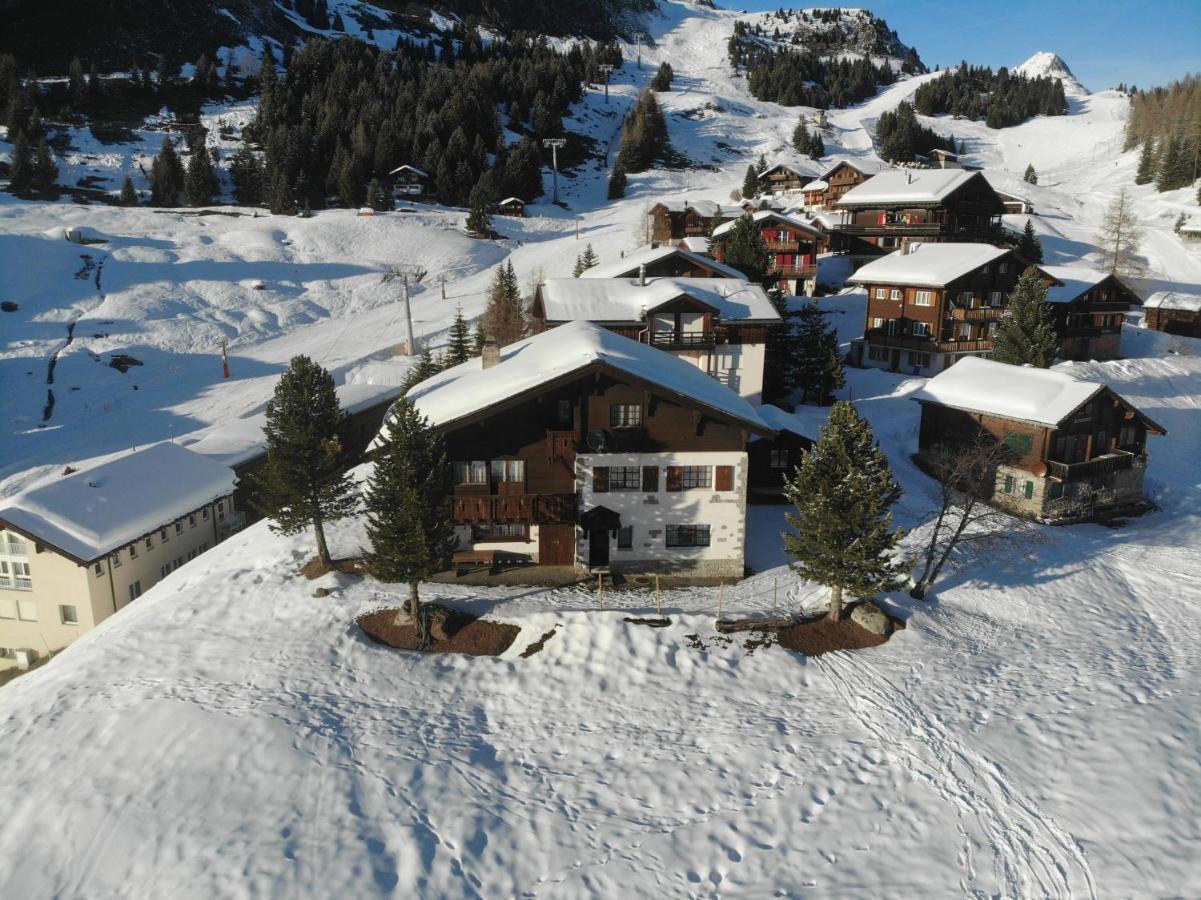 Schoenegg Studio Riederalp Kültér fotó