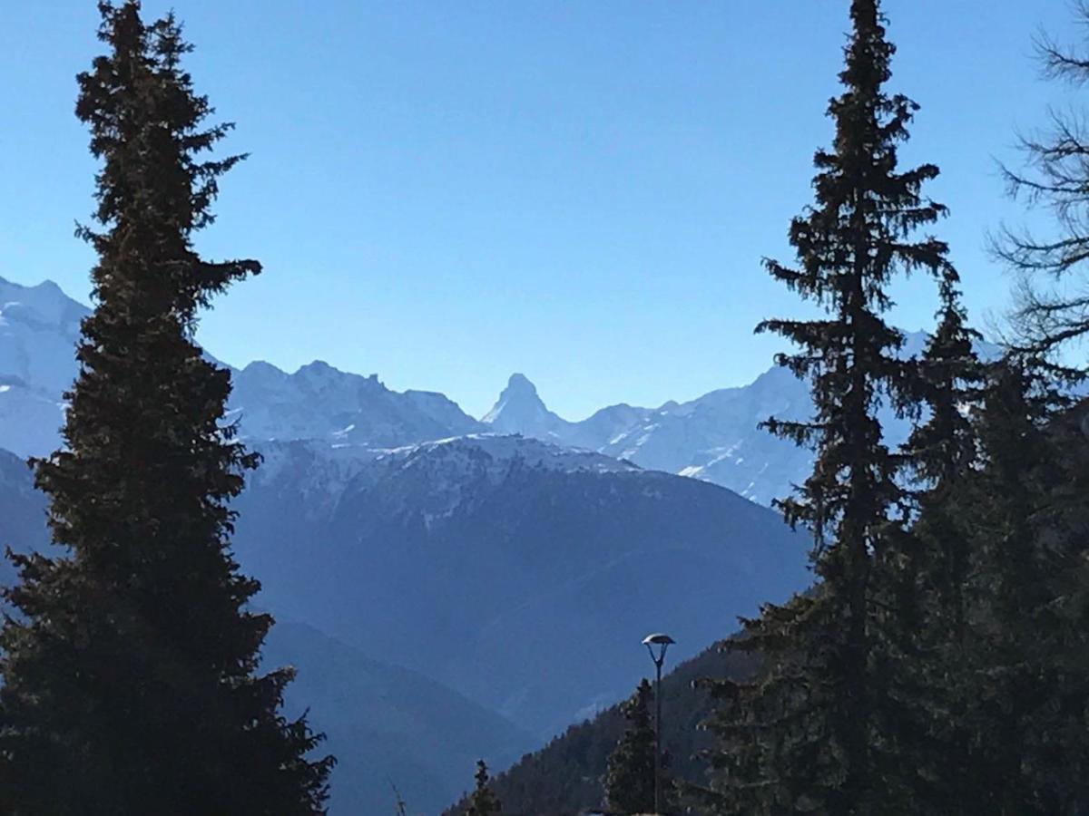 Schoenegg Studio Riederalp Kültér fotó